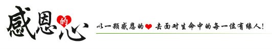压浆料价格