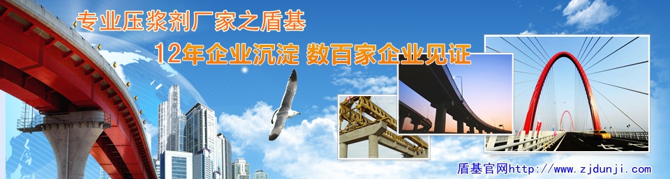压浆剂行业领羊之盾基建材