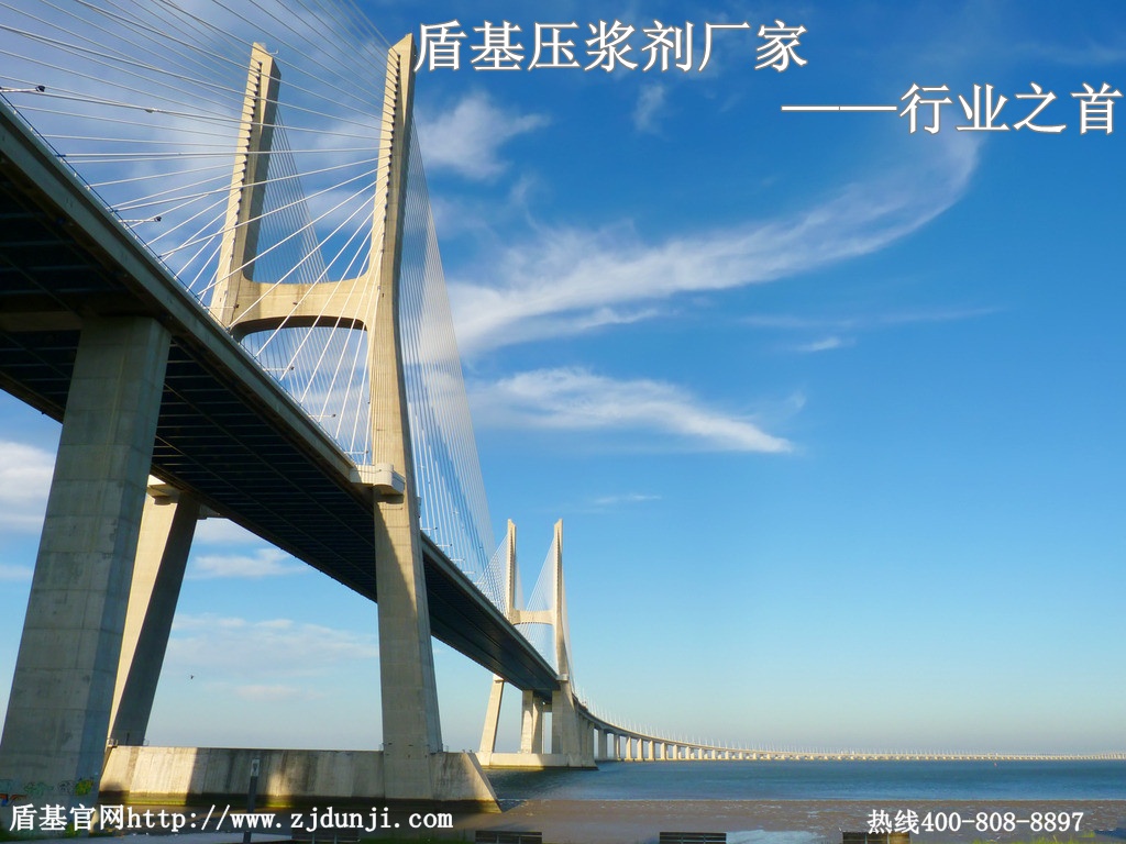 压浆剂行业之首&mdash;&mdash;浙江盾基建材