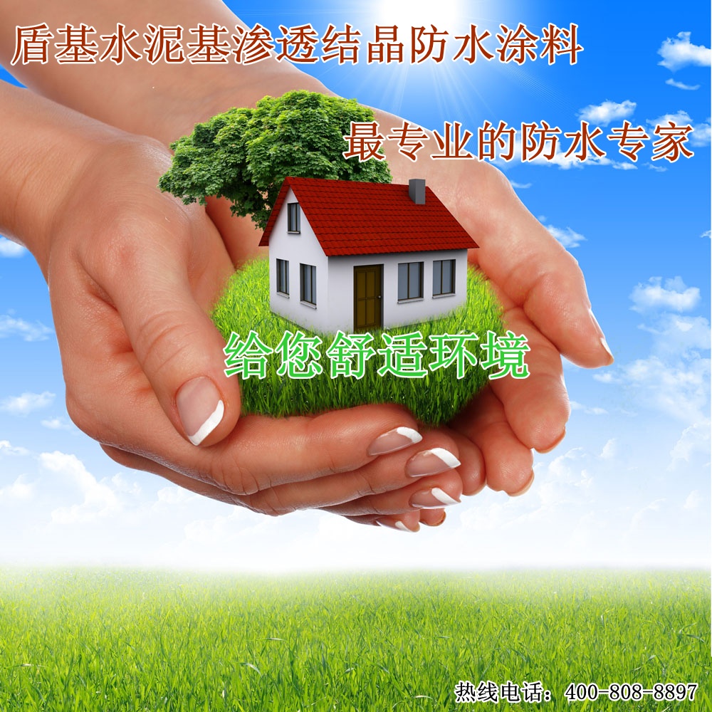 盾基水泥基渗透结晶&mdash;&mdash;最安全的防水专家