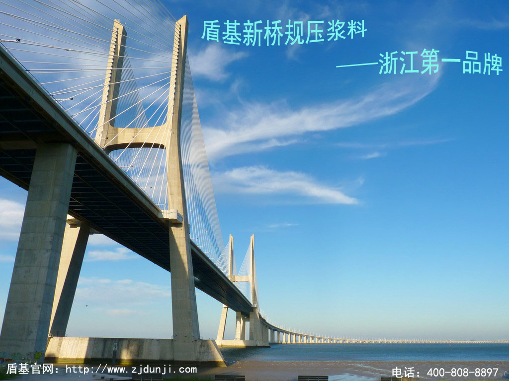 盾基新桥规压浆料&mdash;&mdash;浙江第一品牌