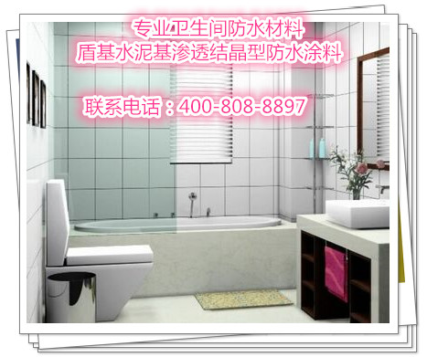 盾基水泥基专业防水材料