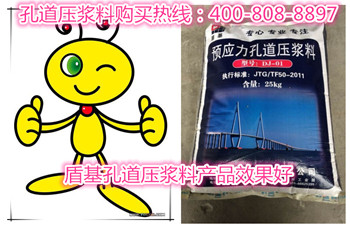 盾基孔道压浆料