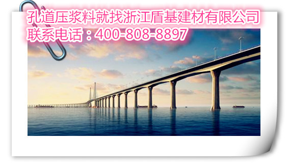 盾基压浆料案例之港珠澳大桥