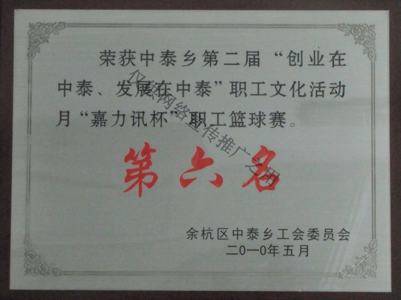 2010篮球赛第一名